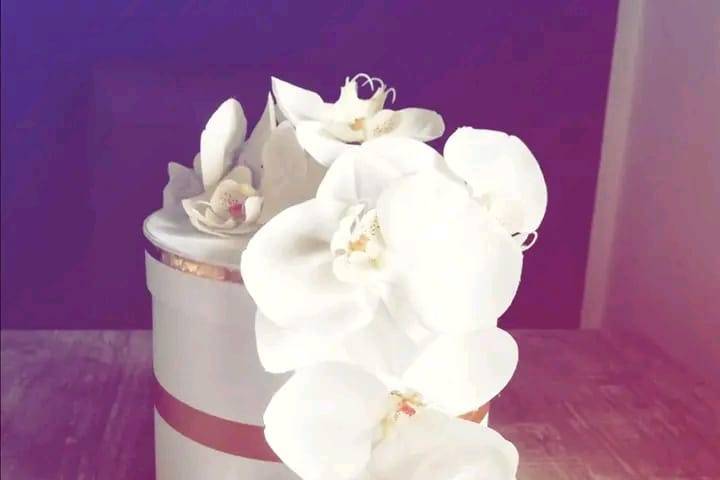 Torta scenografica
