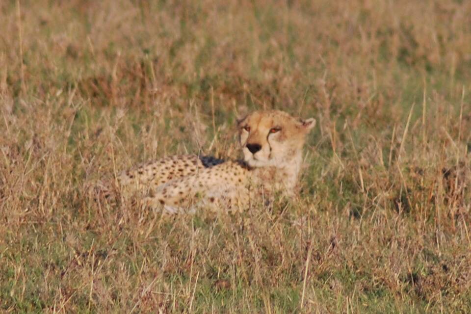 Voglia di Sud Africa