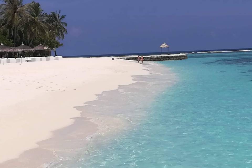 Maldive