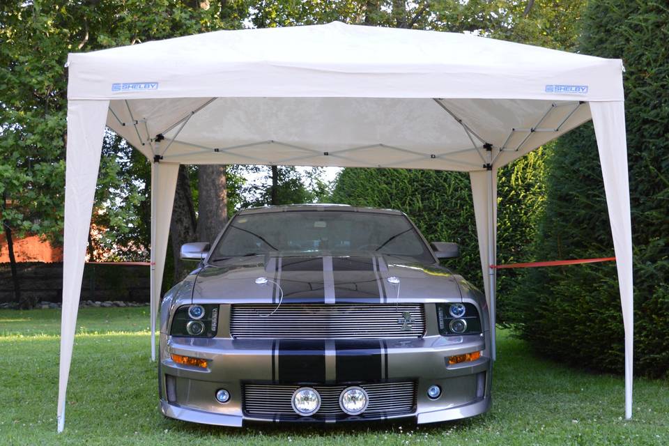 Ford Mustang shelby