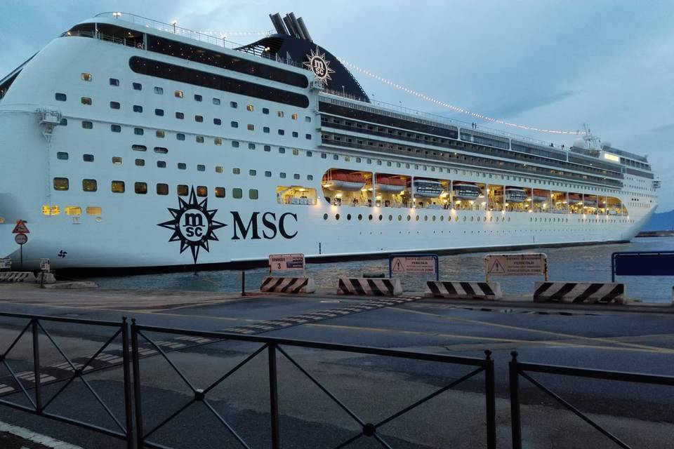 Msc lirica