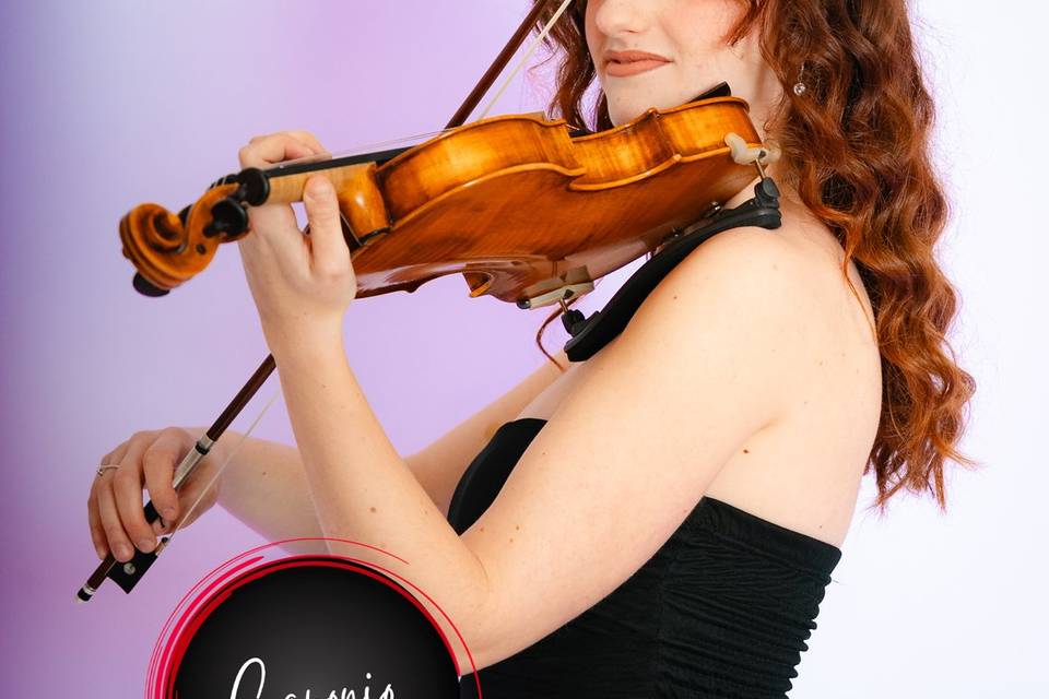 Violino