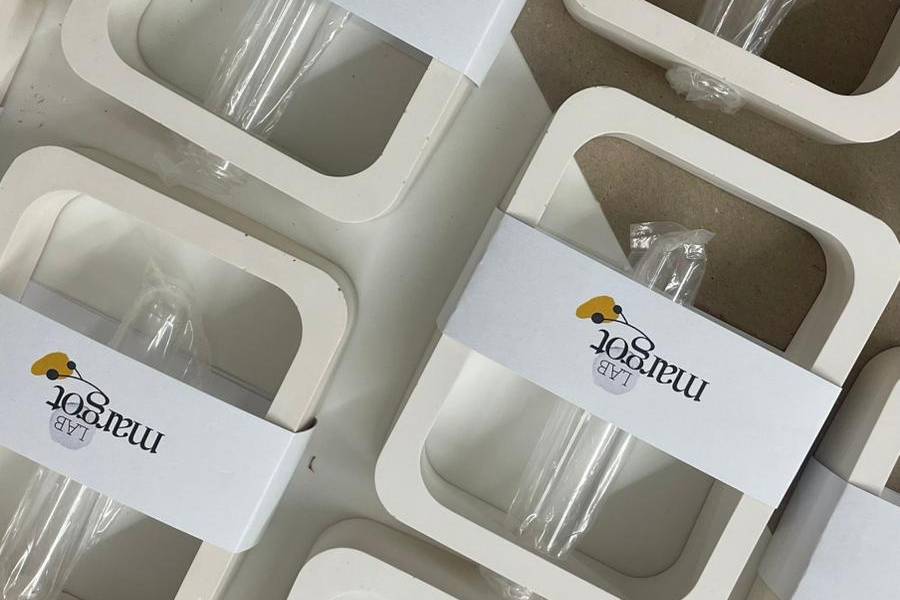 Vaso monofiore white