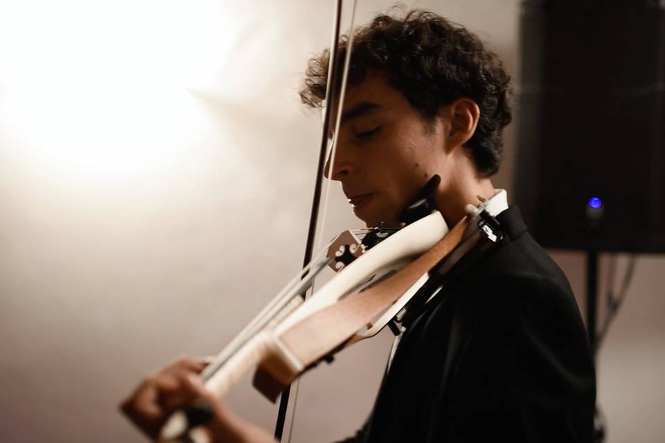 Violino