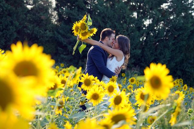 Idea Video-Wedding Photographer