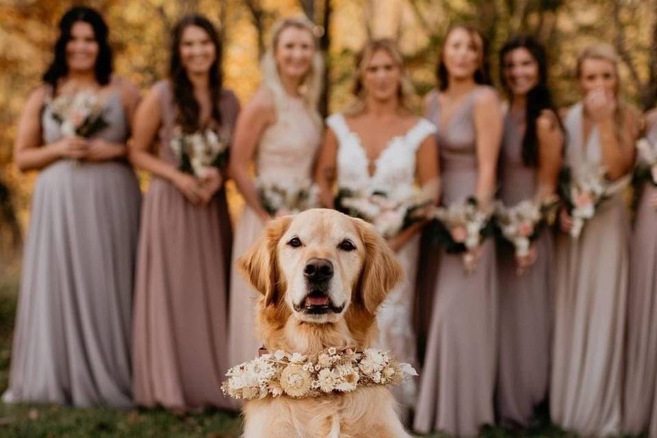 Tatiana Amara Eventi e Matrimoni di Stile