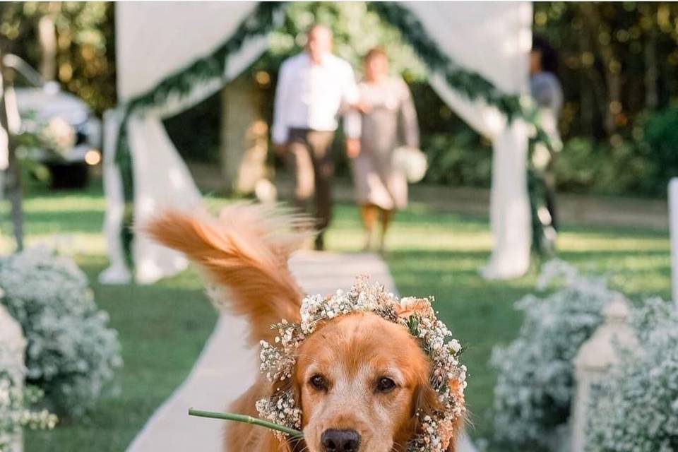 Tatiana Amara Eventi e Matrimoni di Stile