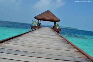 Oceanitis Viaggi ed Eventi