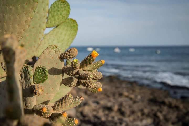 Lanzarote