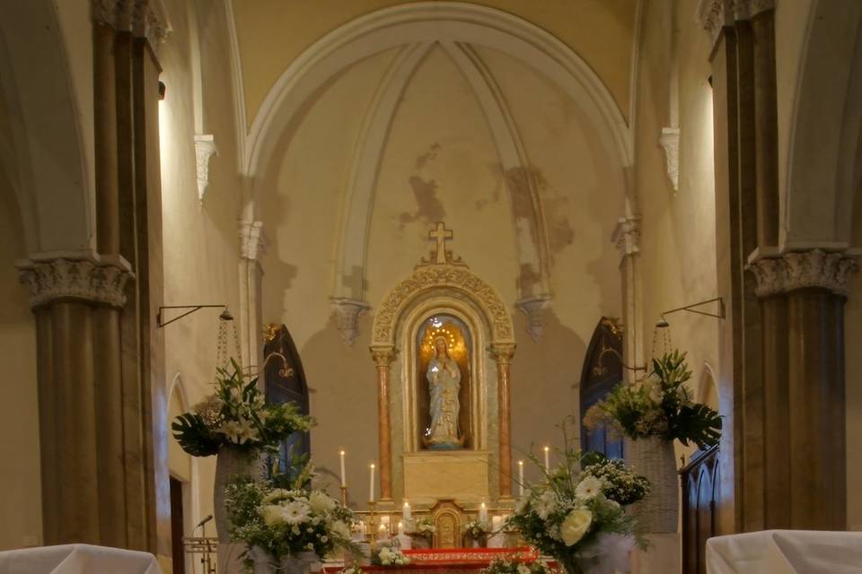 Viola fiori matrimoni eventi