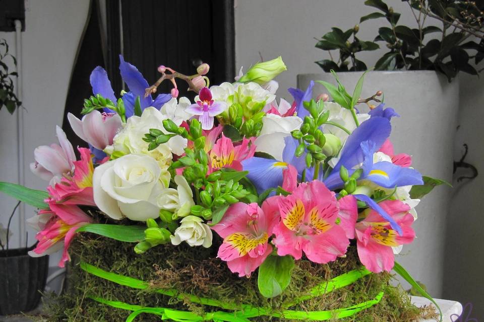 Shushi flowers