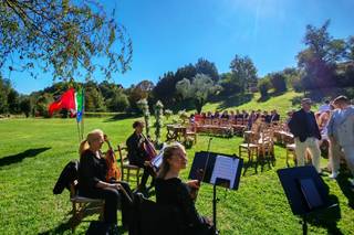 AGviolinists