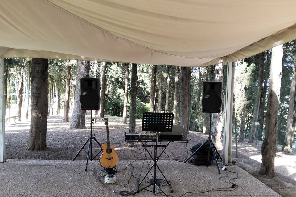 Wedding Day