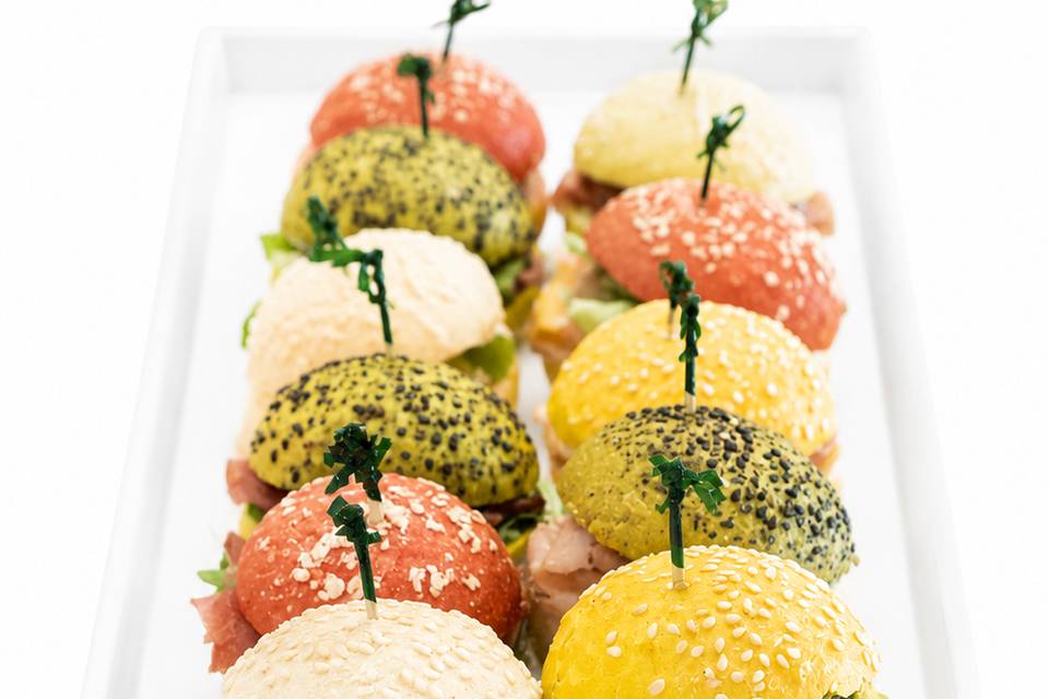 PANINETTI MULTICOLOR