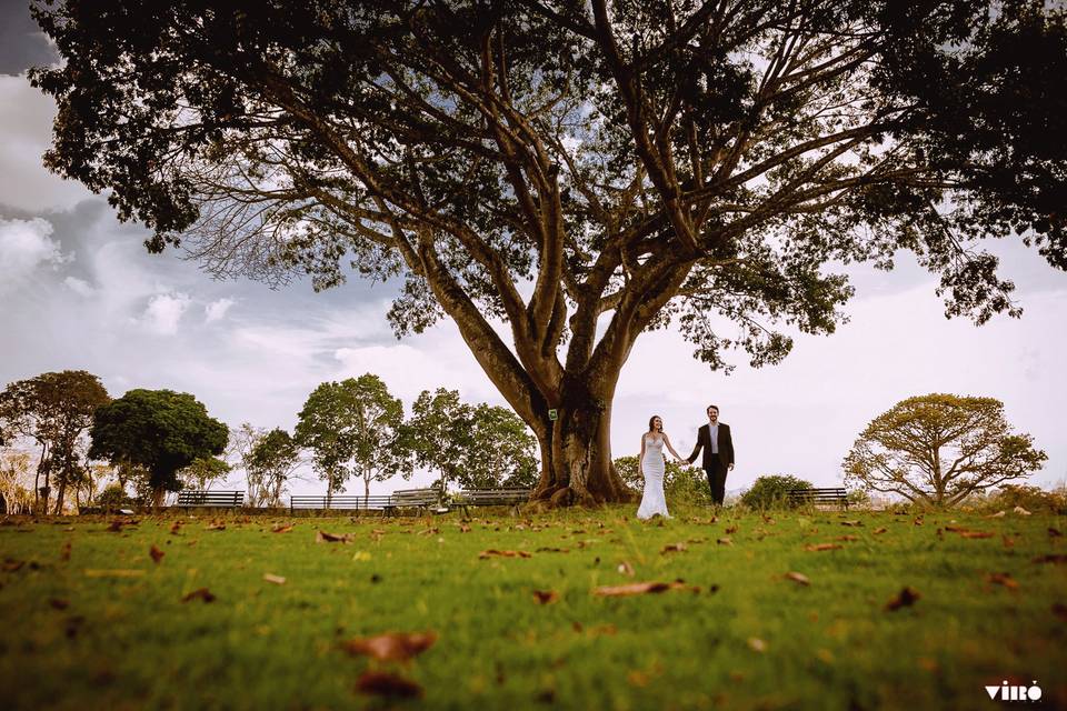 Bodas varias ...