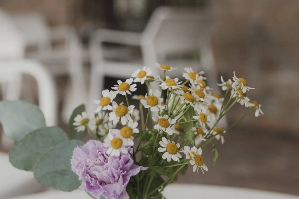 Lavanda bohemienne