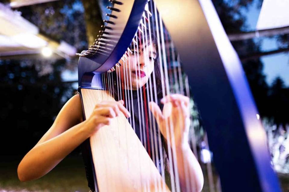 PopMusic