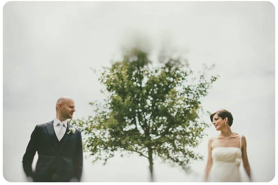 Olive field wedding