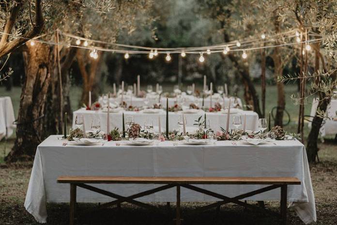 Olive field wedding