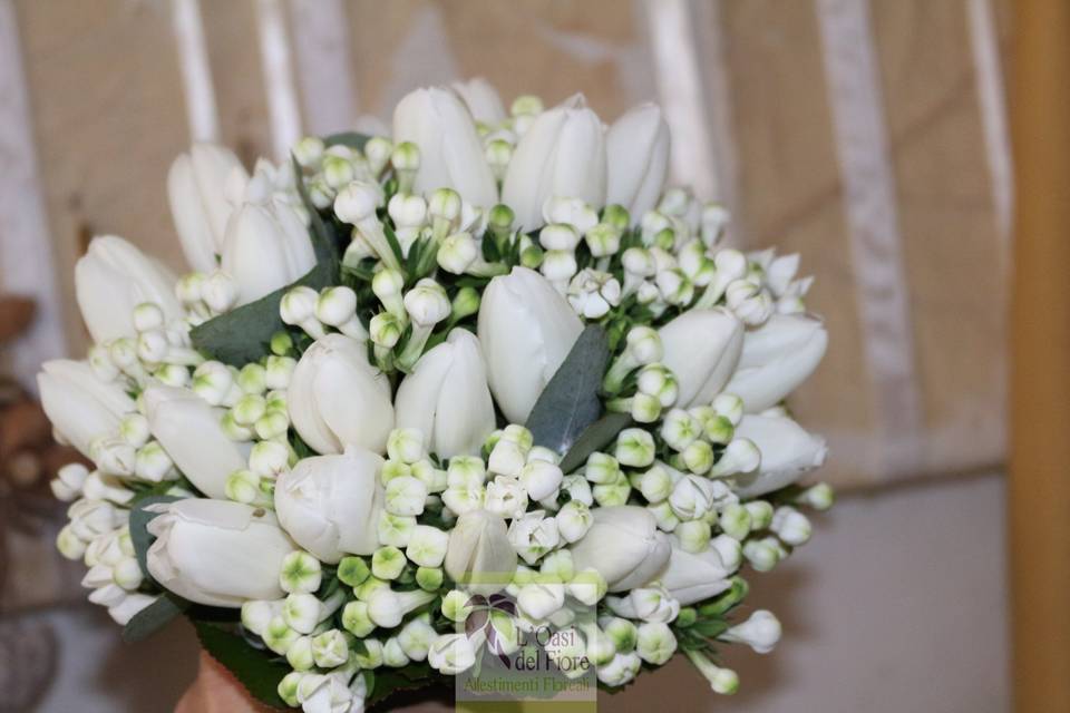 Bouquet White Tulip