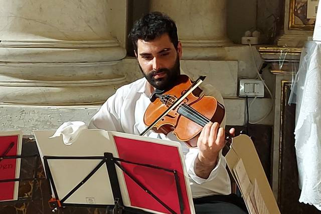 Ettore Vinci - Viola