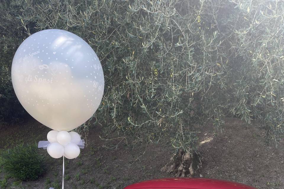 Mongolfiera palloncini