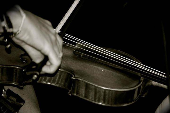 Violino - Triskell