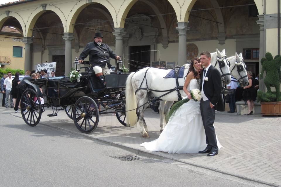 Matrimonio 2011 Cavalli e Carrozze