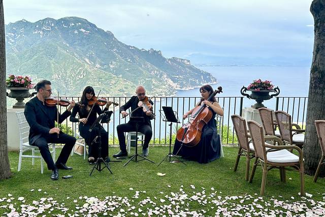 String Quartet