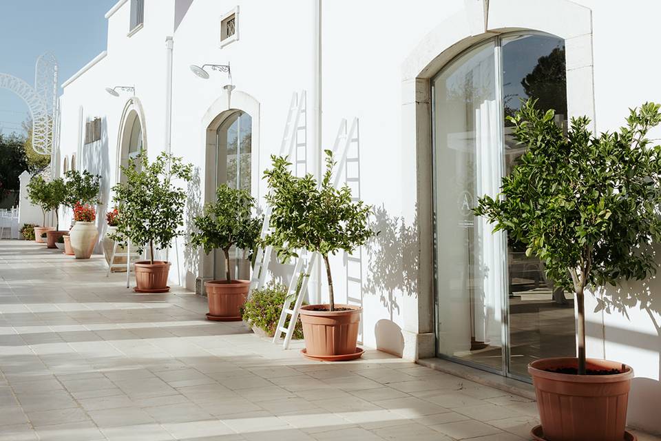 La Masseria
