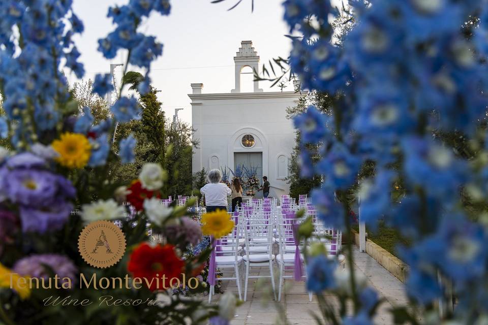 Tenuta Montevitolo