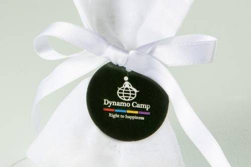 Dynamo Camp