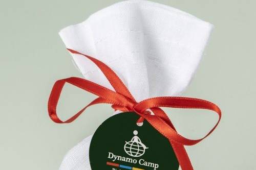 Dynamo Camp