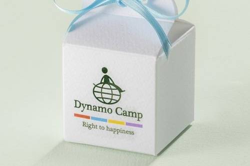 Dynamo Camp