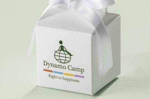 Dynamo Camp