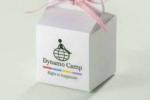 Dynamo Camp