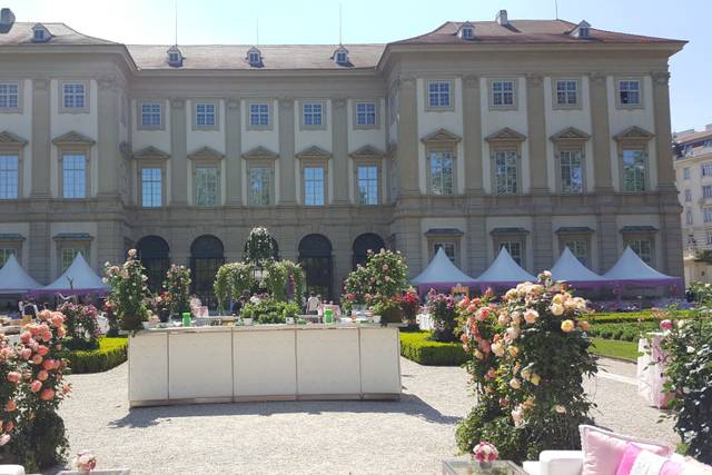Matrimonio indiano a vienna