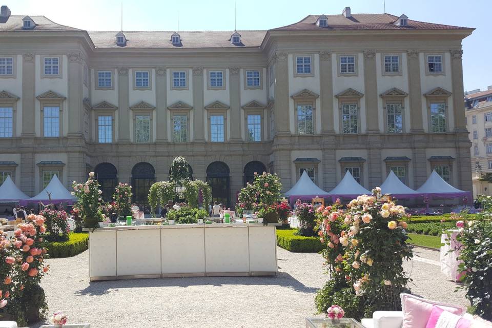 Matrimonio indiano a vienna