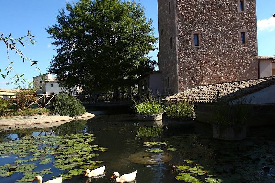 La Tenuta dei Ciclamini