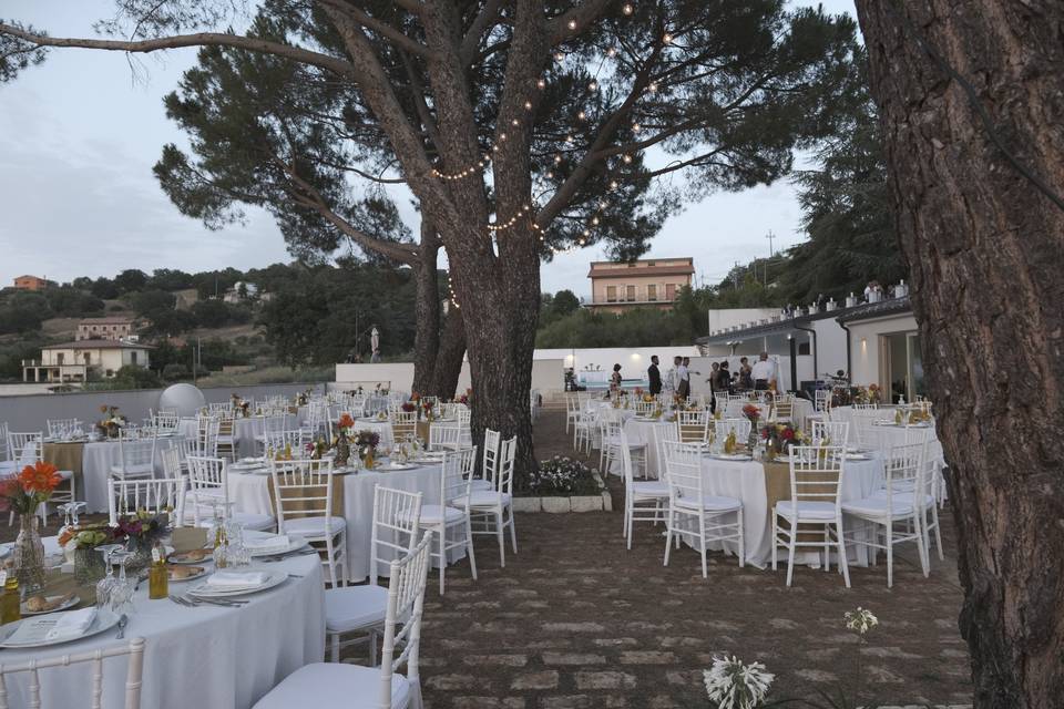 Zona banchetto sotto i pini