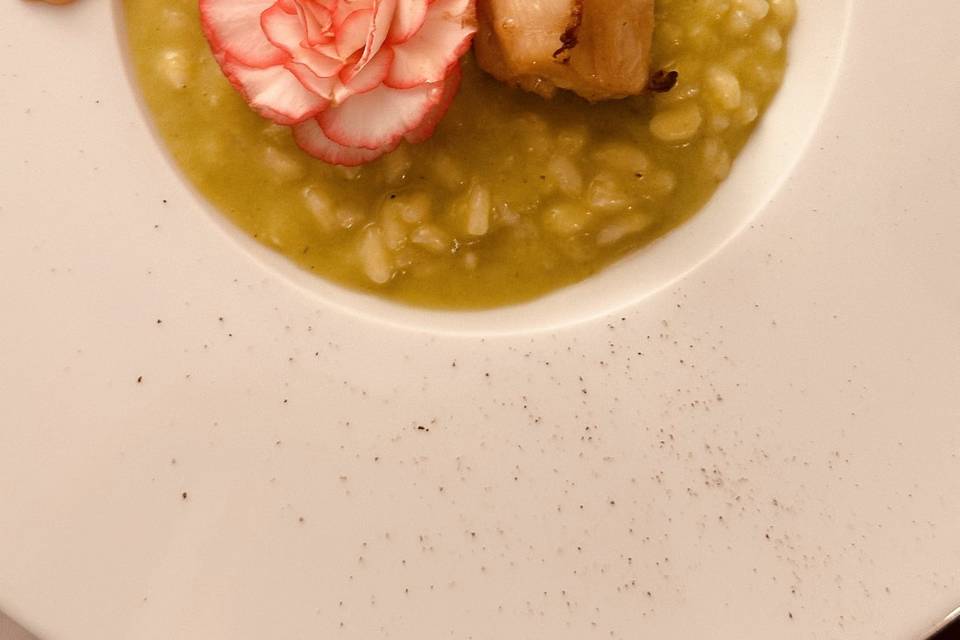 Risotto