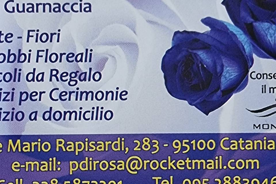 Petali di Rosa