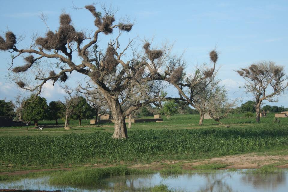 Mali Africa