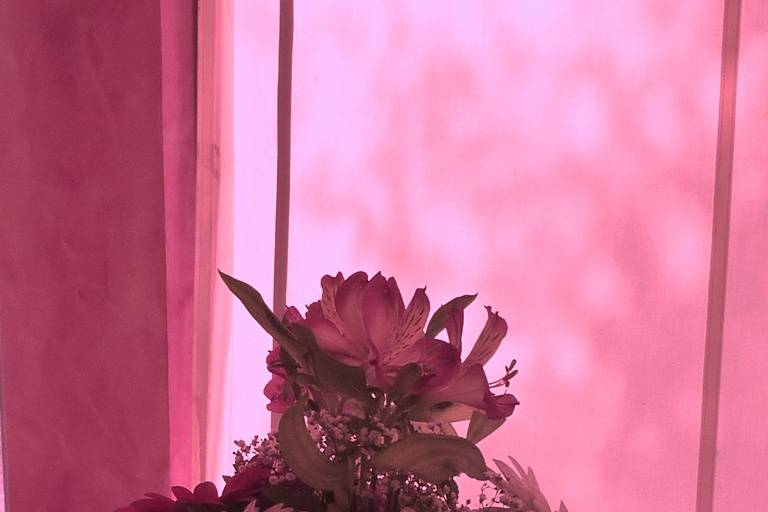 Due Diesis