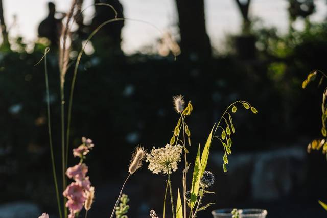 Ph:Fabrizio di Domenico