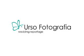 Urso Fotografia