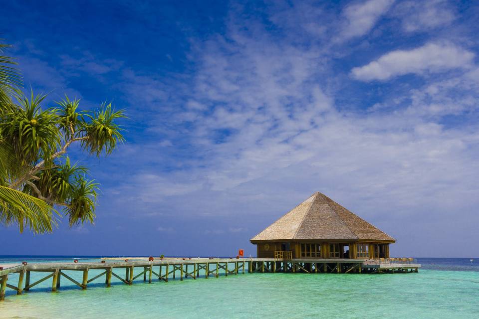 Maldive