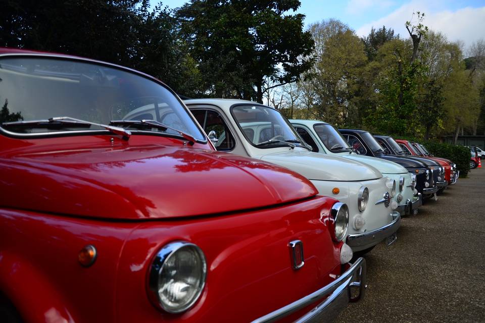 La Grande Bellezza - Tour in FIAT 500 d'epoca