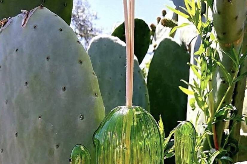 Linea Foglie - Cactus