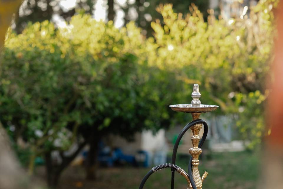 Shisha